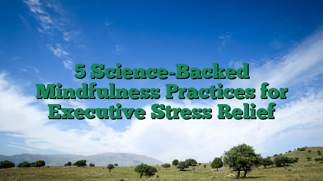 5 Science-Backed Mindfulness Practices for Executive Stress Relief