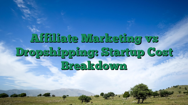 Affiliate Marketing vs Dropshipping: Startup Cost Breakdown
