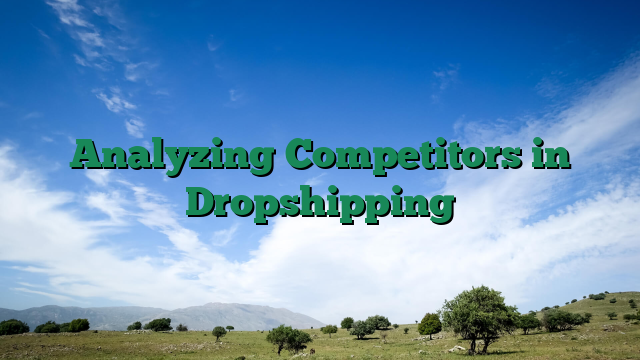 Analyzing Competitors in Dropshipping