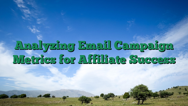 Analyzing Email Campaign Metrics for Affiliate Success