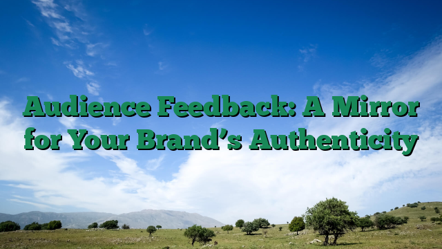 Audience Feedback: A Mirror for Your Brand’s Authenticity