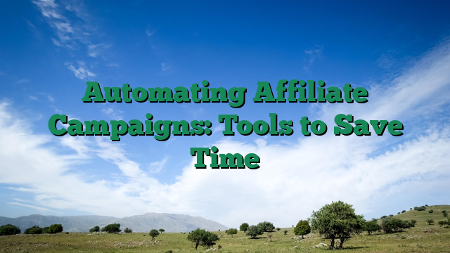 Automating Affiliate Campaigns: Tools to Save Time