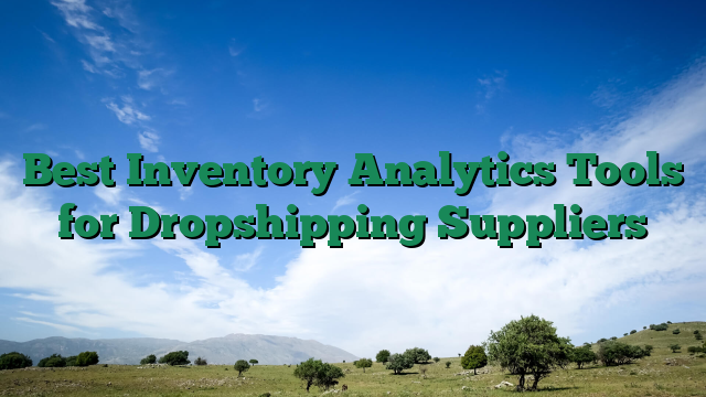 Best Inventory Analytics Tools for Dropshipping Suppliers