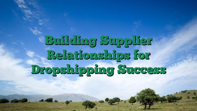 Building Supplier Relationships for Dropshipping Success