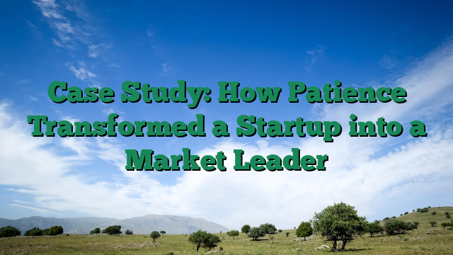 Case Study: How Patience Transformed a Startup into a Market Leader