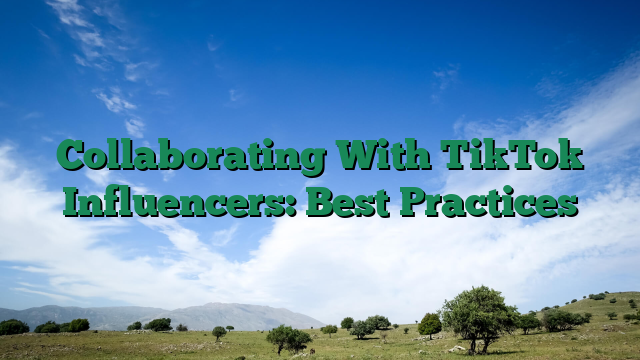 Collaborating With TikTok Influencers: Best Practices