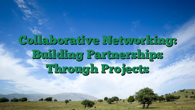 Collaborative Networking: Building Partnerships Through Projects