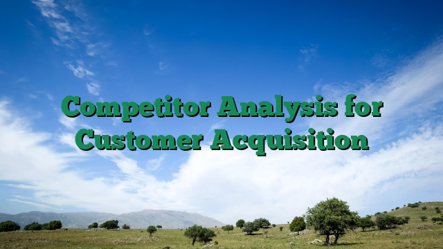 Competitor Analysis for Customer Acquisition