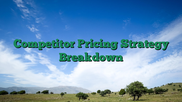Competitor Pricing Strategy Breakdown