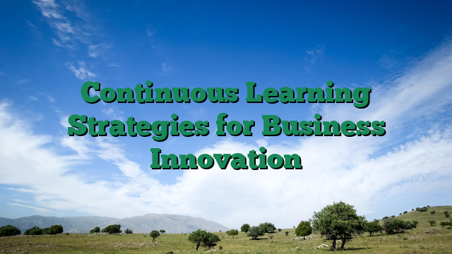 Continuous Learning Strategies for Business Innovation