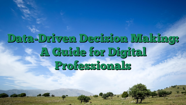 Data-Driven Decision Making: A Guide for Digital Professionals