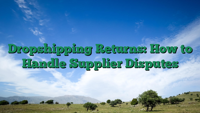 Dropshipping Returns: How to Handle Supplier Disputes