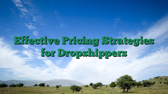 Effective Pricing Strategies for Dropshippers