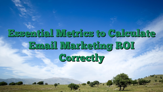 Essential Metrics to Calculate Email Marketing ROI Correctly