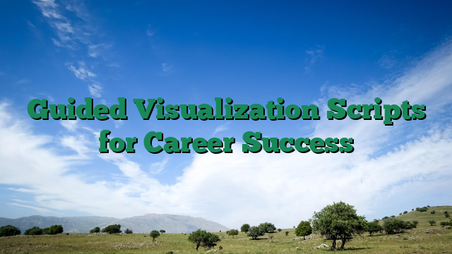 Guided Visualization Scripts for Career Success