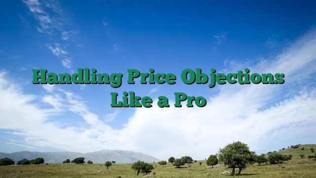Handling Price Objections Like a Pro