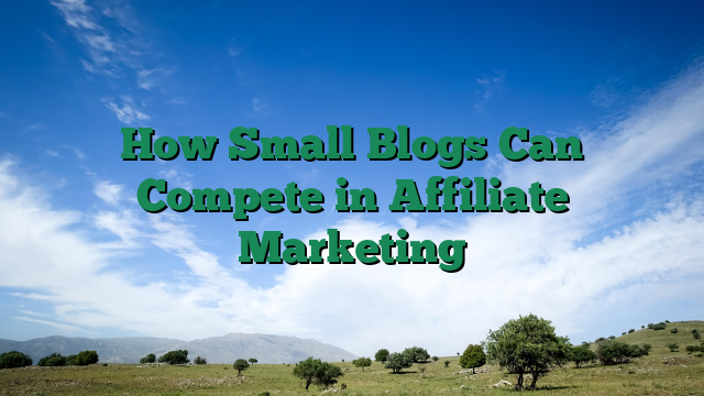 How Small Blogs Can Compete in Affiliate Marketing
