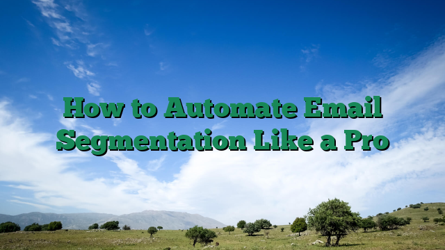 How to Automate Email Segmentation Like a Pro