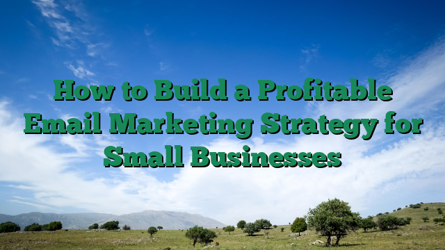 How to Build a Profitable Email Marketing Strategy for Small Businesses