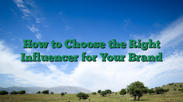 How to Choose the Right Influencer for Your Brand