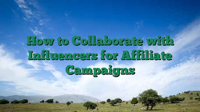 How to Collaborate with Influencers for Affiliate Campaigns