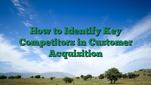 How to Identify Key Competitors in Customer Acquisition