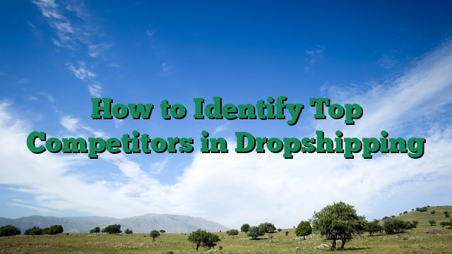 How to Identify Top Competitors in Dropshipping