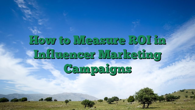 How to Measure ROI in Influencer Marketing Campaigns