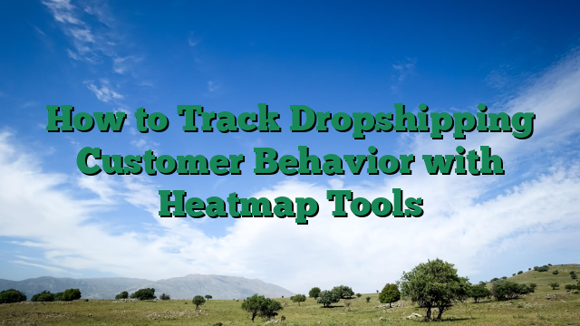 How to Track Dropshipping Customer Behavior with Heatmap Tools