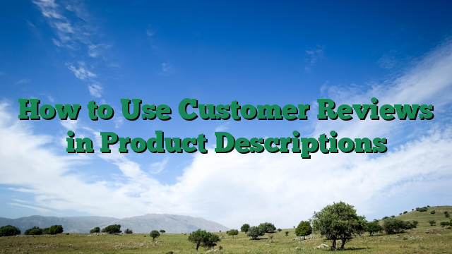 How to Use Customer Reviews in Product Descriptions