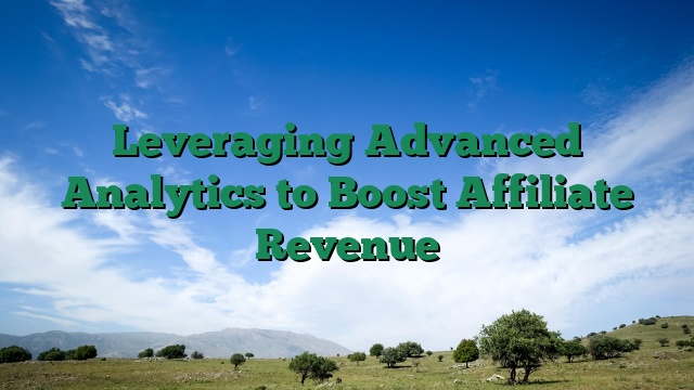 Leveraging Advanced Analytics to Boost Affiliate Revenue