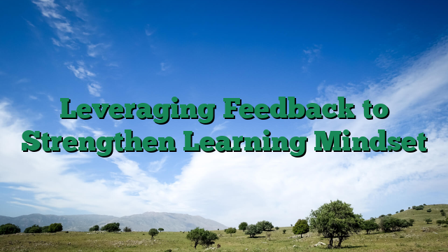 Leveraging Feedback to Strengthen Learning Mindset