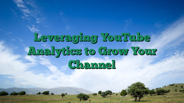 Leveraging YouTube Analytics to Grow Your Channel