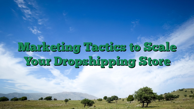 Marketing Tactics to Scale Your Dropshipping Store