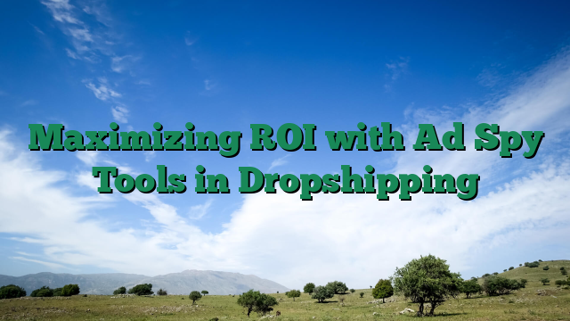 Maximizing ROI with Ad Spy Tools in Dropshipping