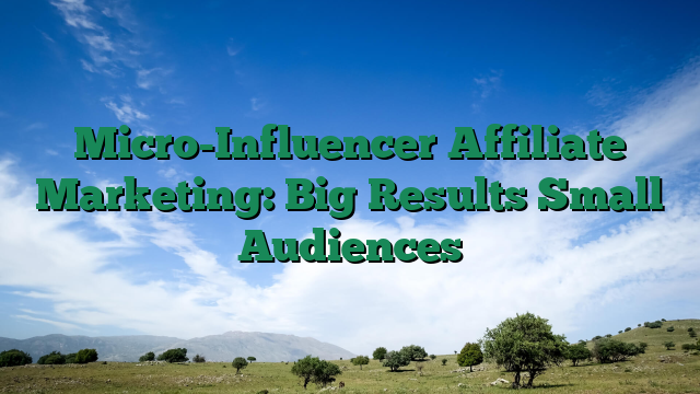 Micro-Influencer Affiliate Marketing: Big Results Small Audiences