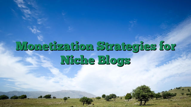 Monetization Strategies for Niche Blogs