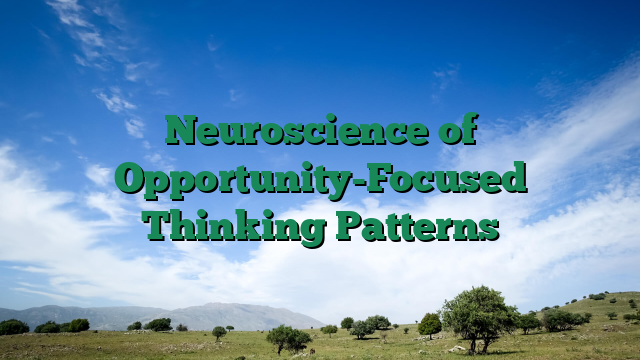 Neuroscience of Opportunity-Focused Thinking Patterns