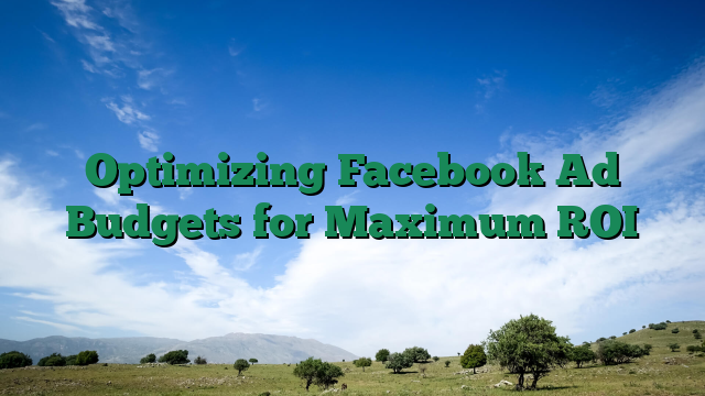 Optimizing Facebook Ad Budgets for Maximum ROI