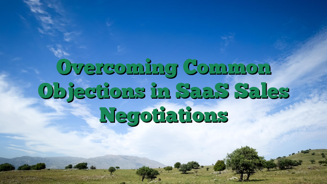 Overcoming Common Objections in SaaS Sales Negotiations