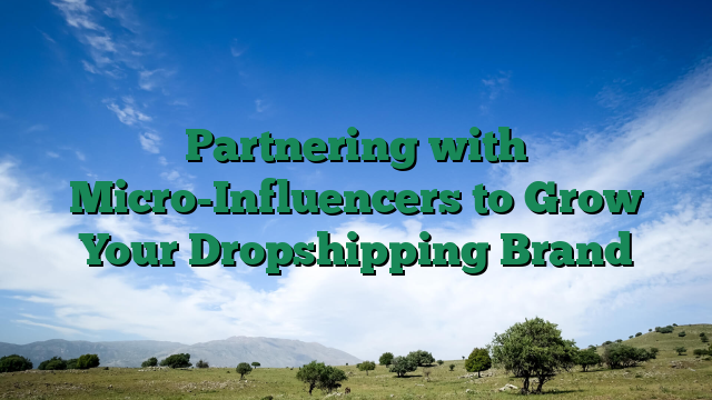Partnering with Micro-Influencers to Grow Your Dropshipping Brand