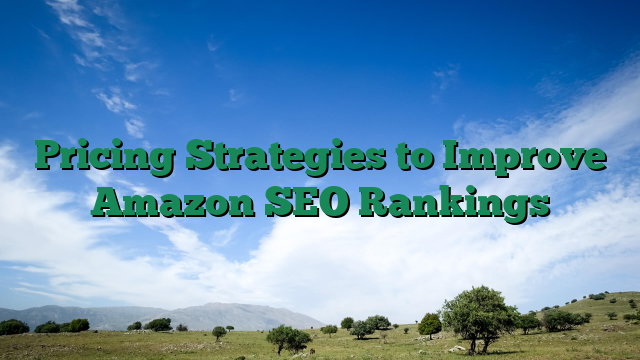 Pricing Strategies to Improve Amazon SEO Rankings