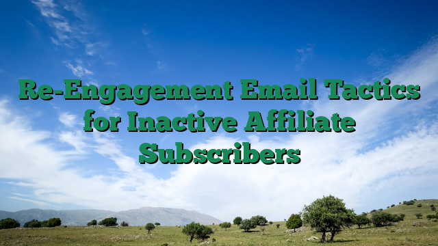 Re-Engagement Email Tactics for Inactive Affiliate Subscribers
