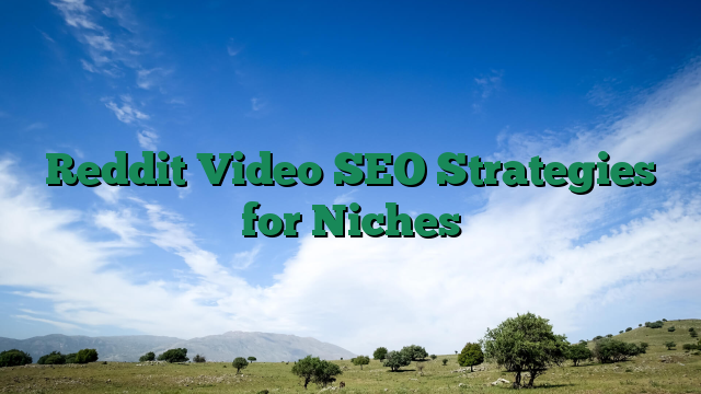 Reddit Video SEO Strategies for Niches