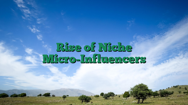 Rise of Niche Micro-Influencers