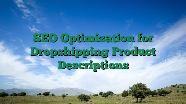 SEO Optimization for Dropshipping Product Descriptions
