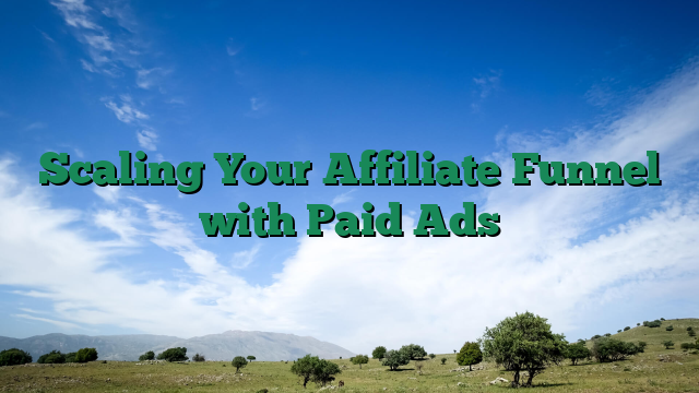 Scaling Your Affiliate Funnel with Paid Ads