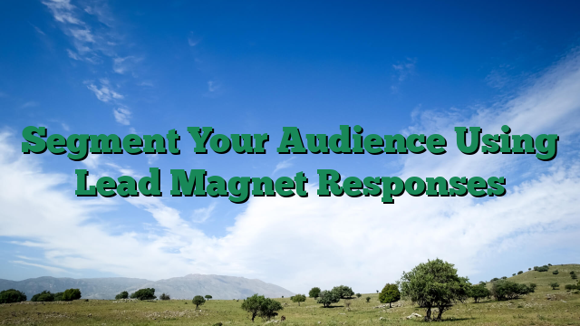 Segment Your Audience Using Lead Magnet Responses