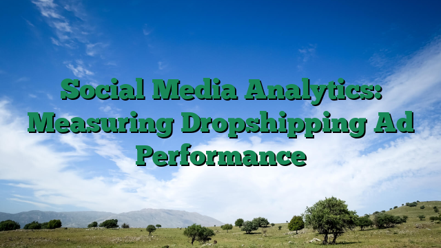 Social Media Analytics: Measuring Dropshipping Ad Performance