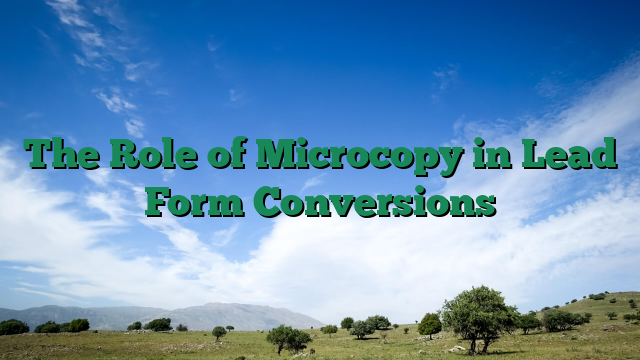 The Role of Microcopy in Lead Form Conversions